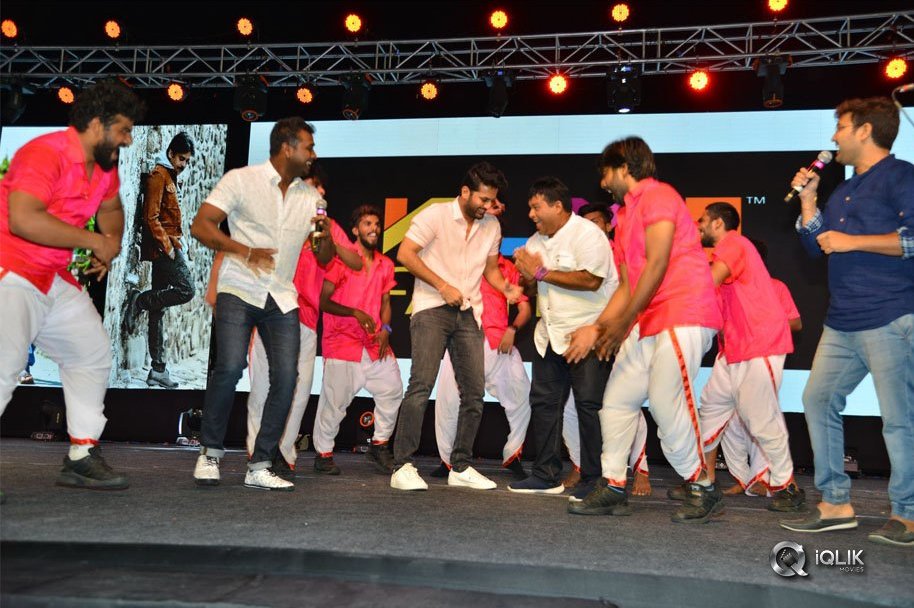 Chal-Mohan-Ranga-Pre-Release-Function-Photos